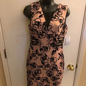 Floral Cocktail Dress Champagne and Black  Floral NWT Size 6